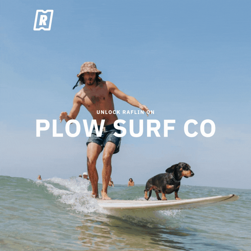 PLOW SURF CO