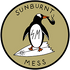 sunburnt-mess logo