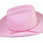 ruby tuesday mathews, the ruby, fallen broke street, cow girl hat, byron bay fashion, fashion label, wool, felt, byron style, byron fashion, upf 50+, australian hat, pink cow girl hat, pink hat