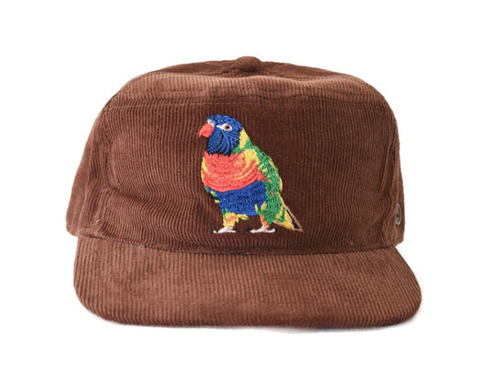 The Stash Cap - Corduroy - Brown Rainbow